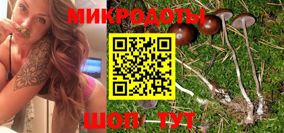 Псилоцибиновые грибы Cubensis Донецк